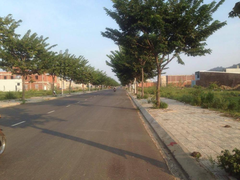 bán đất gần Đại học Duy Tân, khu dân cư mới tại Đà Nẵng
