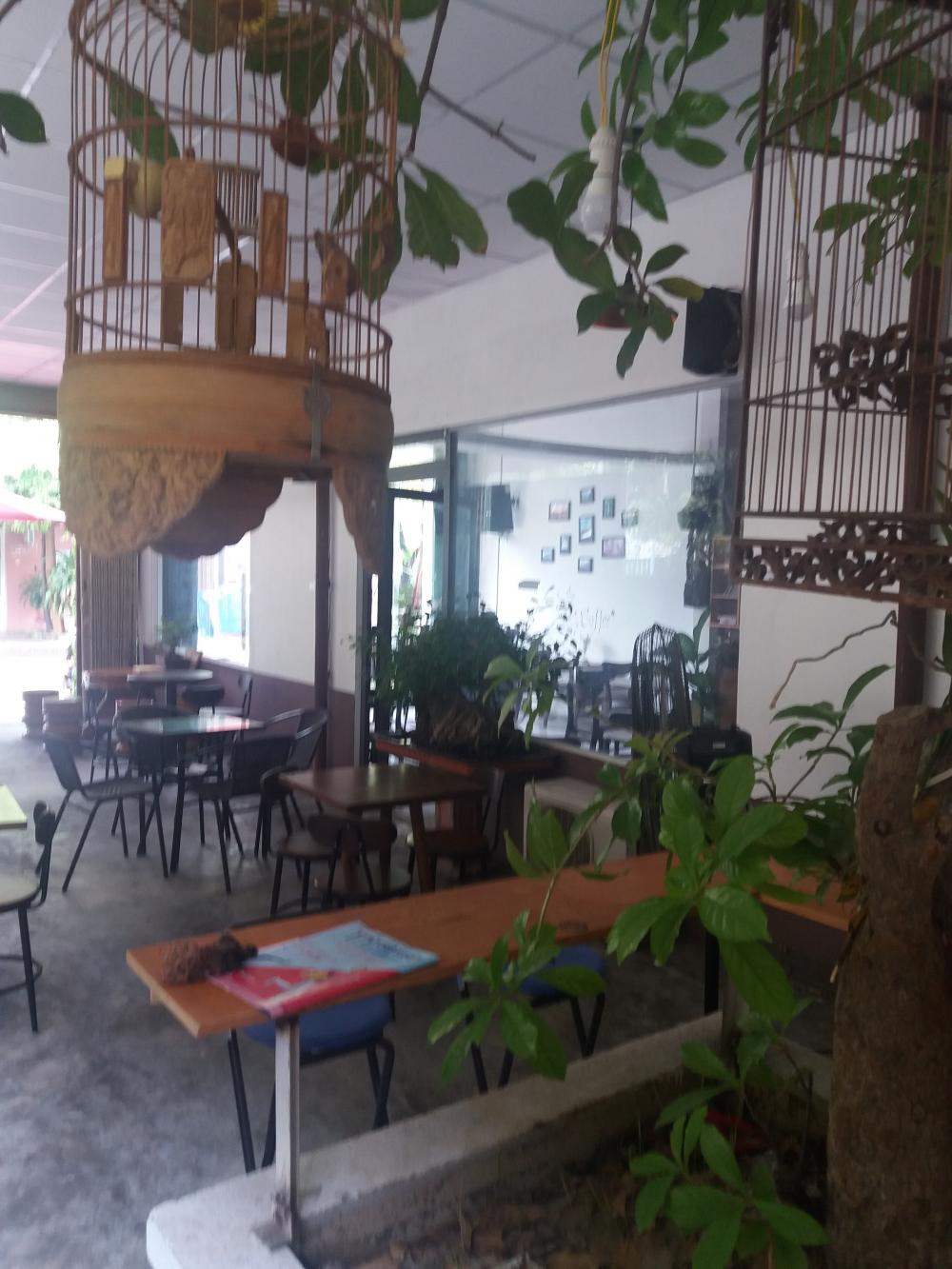 Nhà+quán Cà Phê 8.4mx14m đường Nguyễn Phước Nguyên, Ngay ngã ba Huế