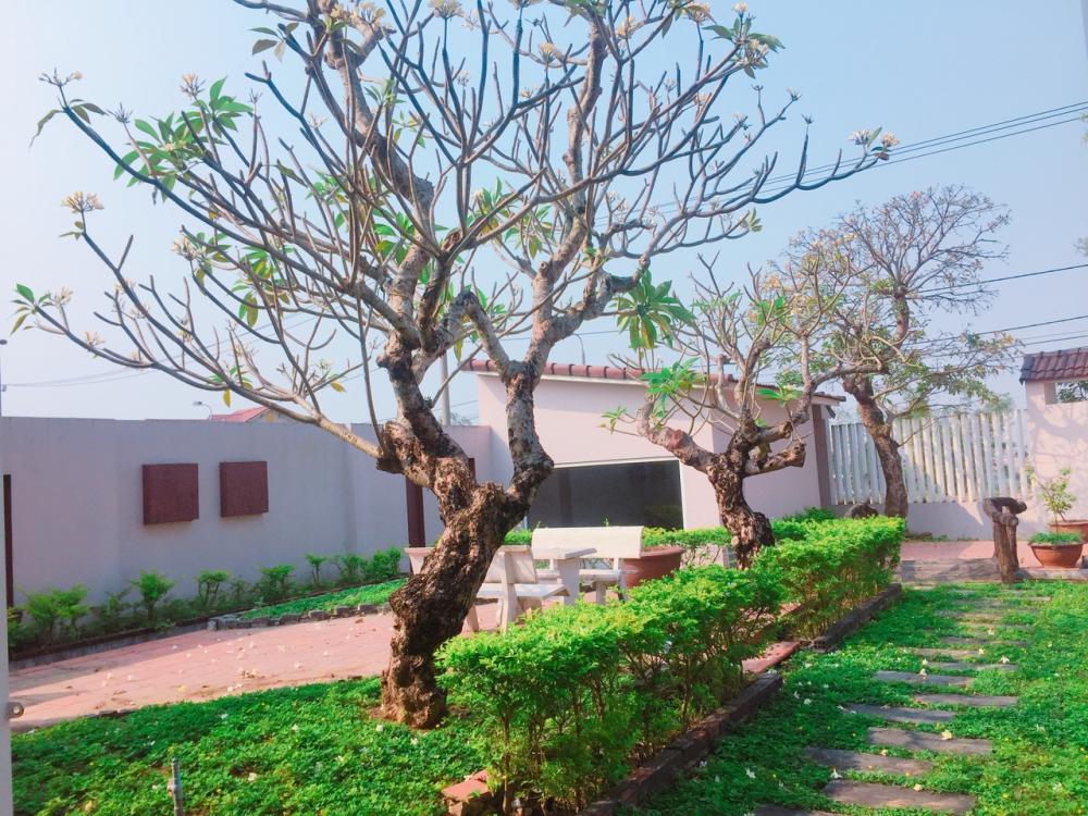 Chính chủ cần bán biệt thự 2 mặt tiền sân vườn đẹp tại Quận Ngũ Hành Sơn