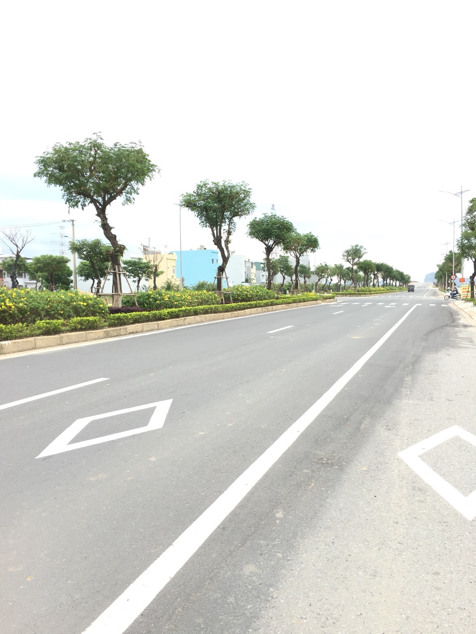 Bán đất đường Đông Giang, Đà Nẵng diện tích 65m2  giá 1.950 Tỷ