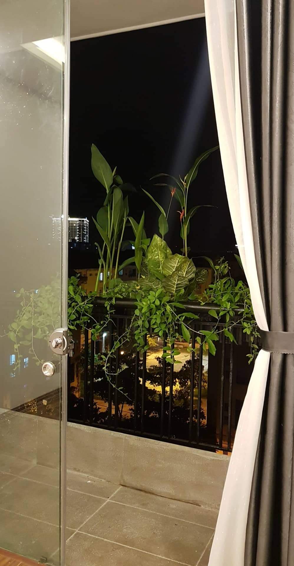 Bán căn hộ chung cư Vicoland biển Sơn Trà, Đà Nẵng.