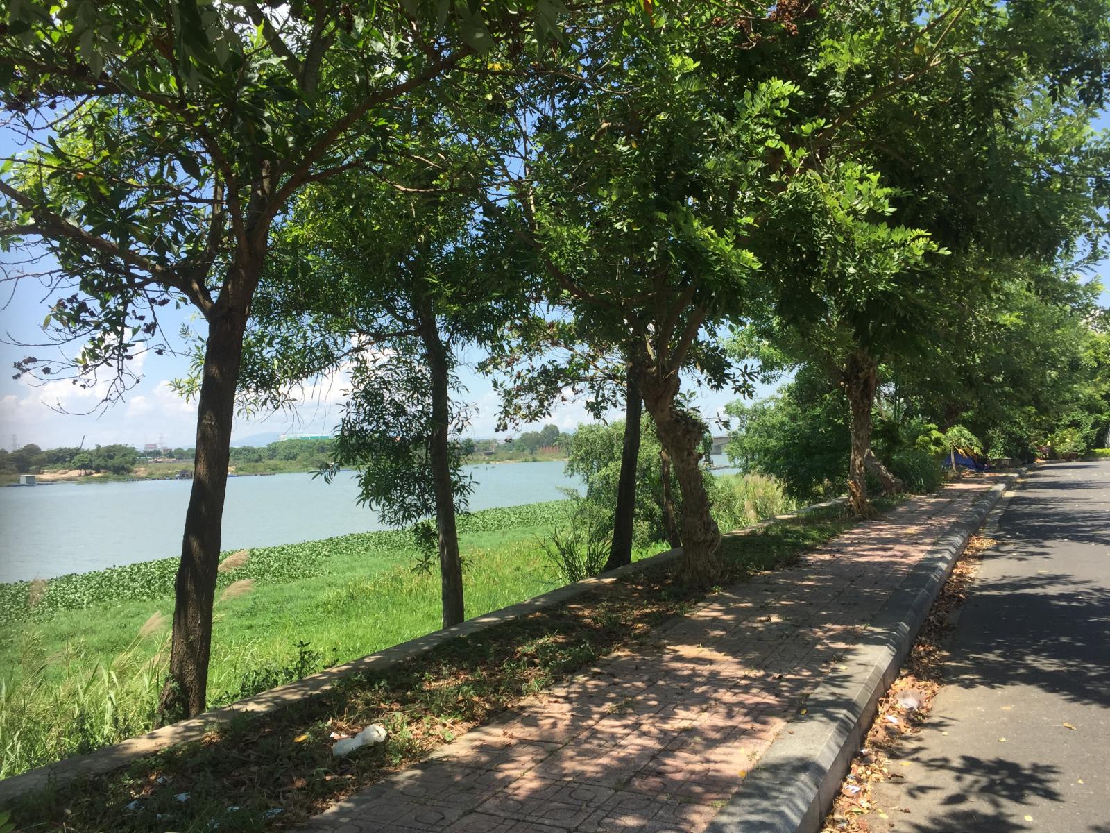 Bán 50 lô Đất biệt thự view sông Cẩm Lệ cuối cùng tại Đà Nẵng giá tốt, số lượng có hạn