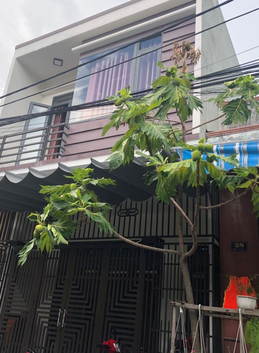 Bán nhà riêng tại Đường Phú Lộc 7, Phường Hòa Minh, Liên Chiểu, Đà Nẵng diện tích 70m2  giá 4.45 Tỷ
