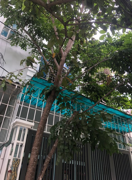 Bán nhà riêng tại Đường Hà Huy Tập, Phường An Khê, Thanh Khê, Đà Nẵng diện tích 160m2  giá 10.770 Tỷ