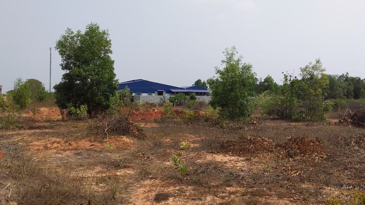Bán đất cạnh sân bay Phan Thiết - rẻ hơn thị trường 300tr