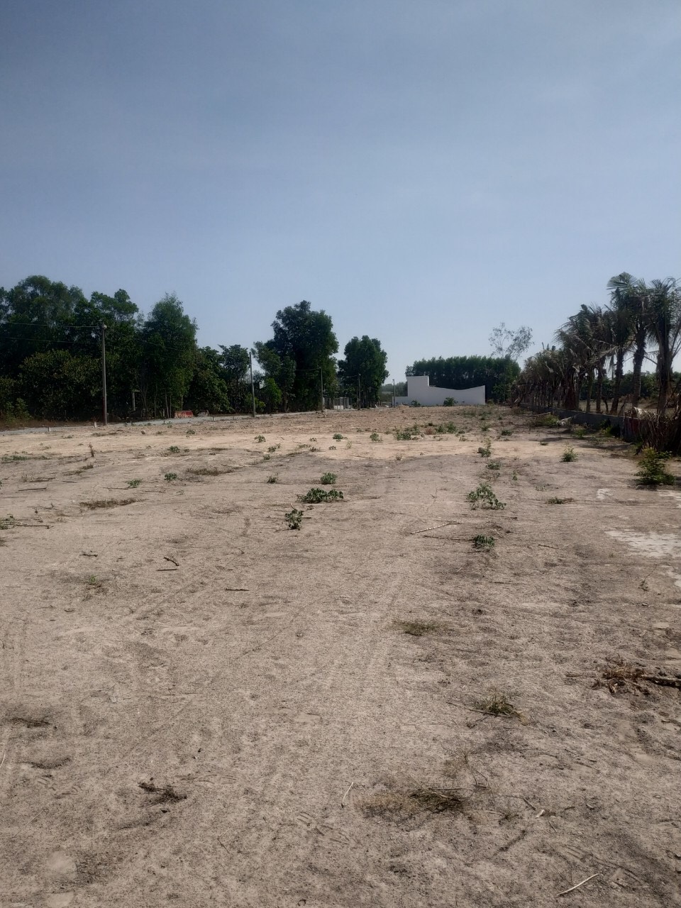 Đất nền Biệt thự ngay KCN Đô thị Dịch vụ 450 ha Hắc dịch cần bán gấp 6,6tr/m2