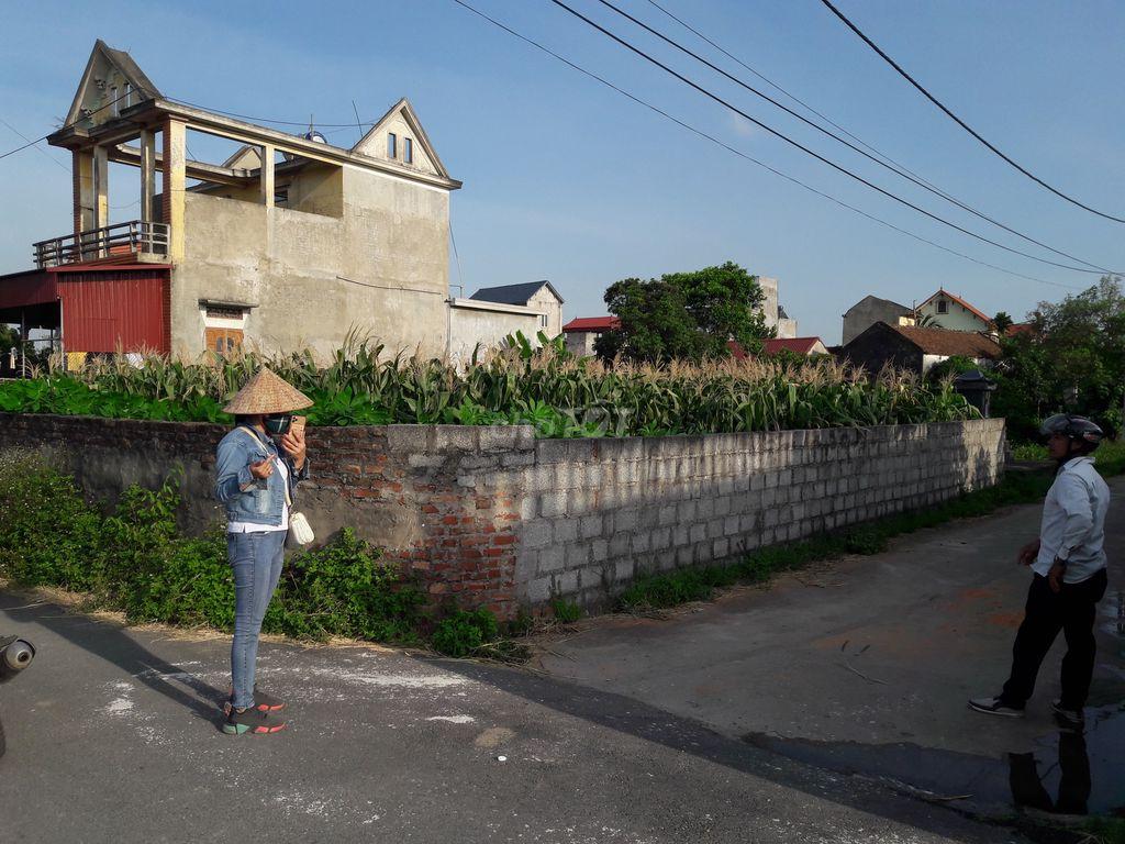 Chính chủ cần bán gấp lô đất đường nhựa 8m tới tận cửa nhà. Xã Lai Hạ - Lương Tài- Bắc Ninh.