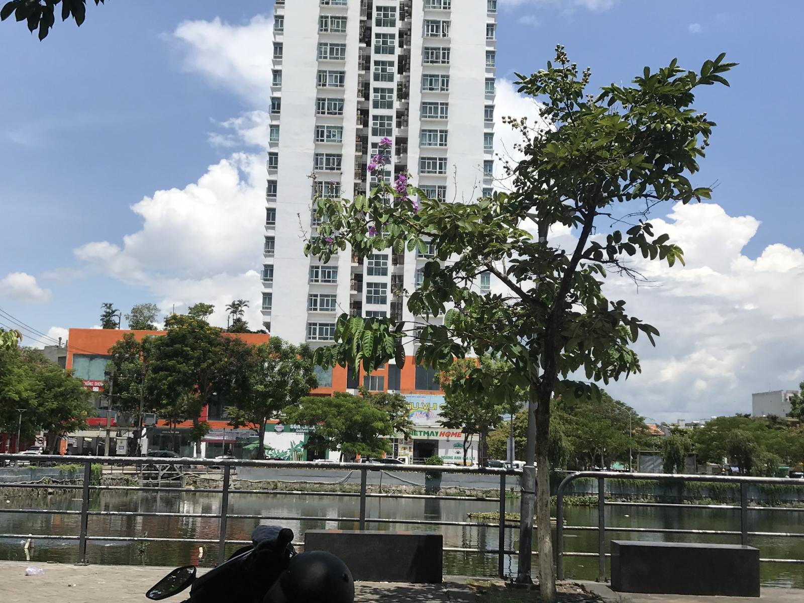 Bán nhà mặt phố tại Đường Quang Dũng, Phường Thạc Gián, Thanh Khê, Đà Nẵng diện tích 75m2  giá 9.45 Tỷ