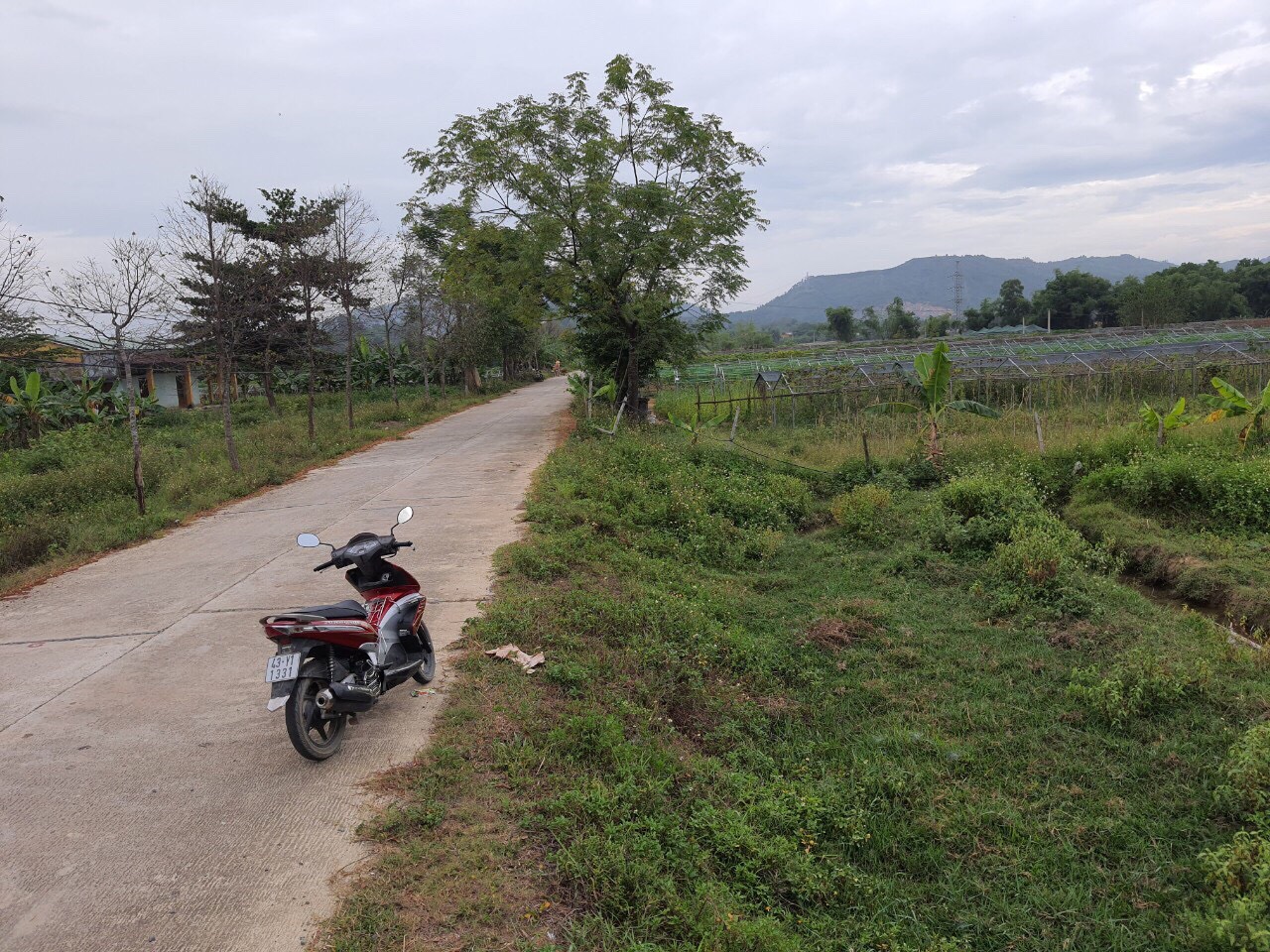 Bán Đất Trồng Cây Lâu Năm Mặt Đường Bê Tông 7,5m Có Thể Lên Thổ Cư Xã Hoà Nhơn, Huyện Hoà Vang