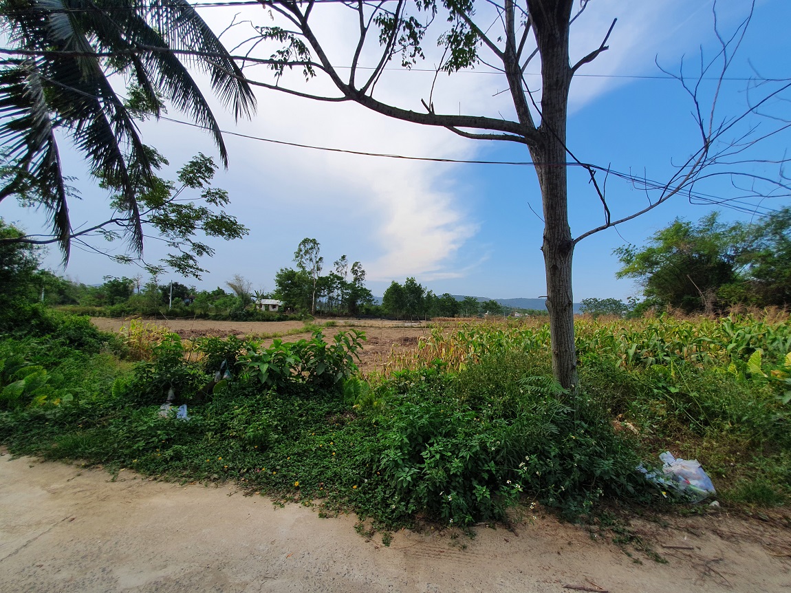 Bán đất Túy Loan Tây 2, Hòa Phong, Đà Nẵng (800m2 – 700tr)