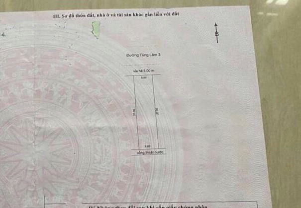 Bán đất Đường Tùng Lâm 3, Phường Hòa Xuân, Cẩm Lệ, Đà Nẵng diện tích 100m2  giá 2.75 Tỷ
