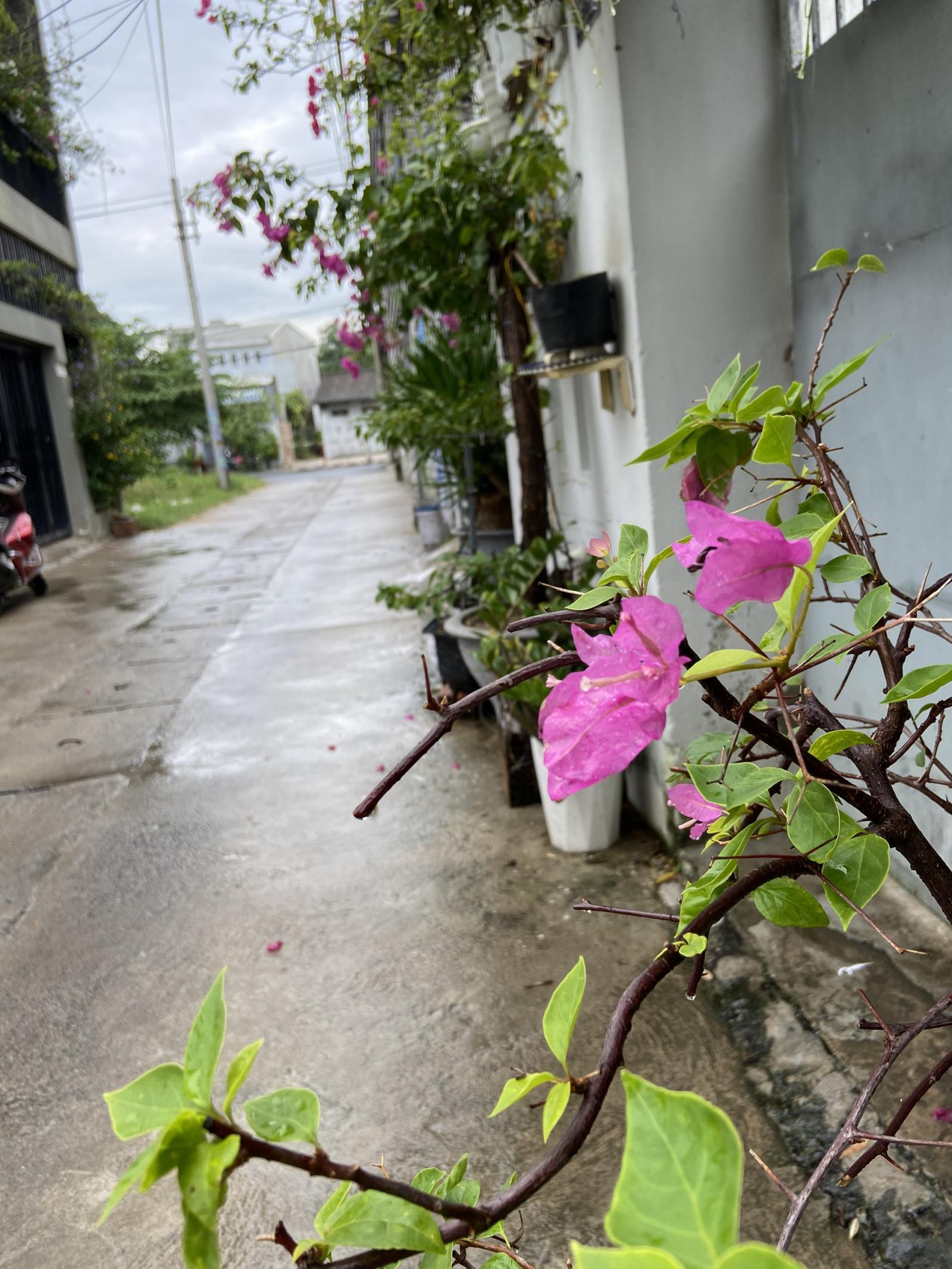 Bán lô đất kiệt ô tô 6m đường Đặng Thái Thân, ngay khu công chức quận Ngũ Hành Sơn