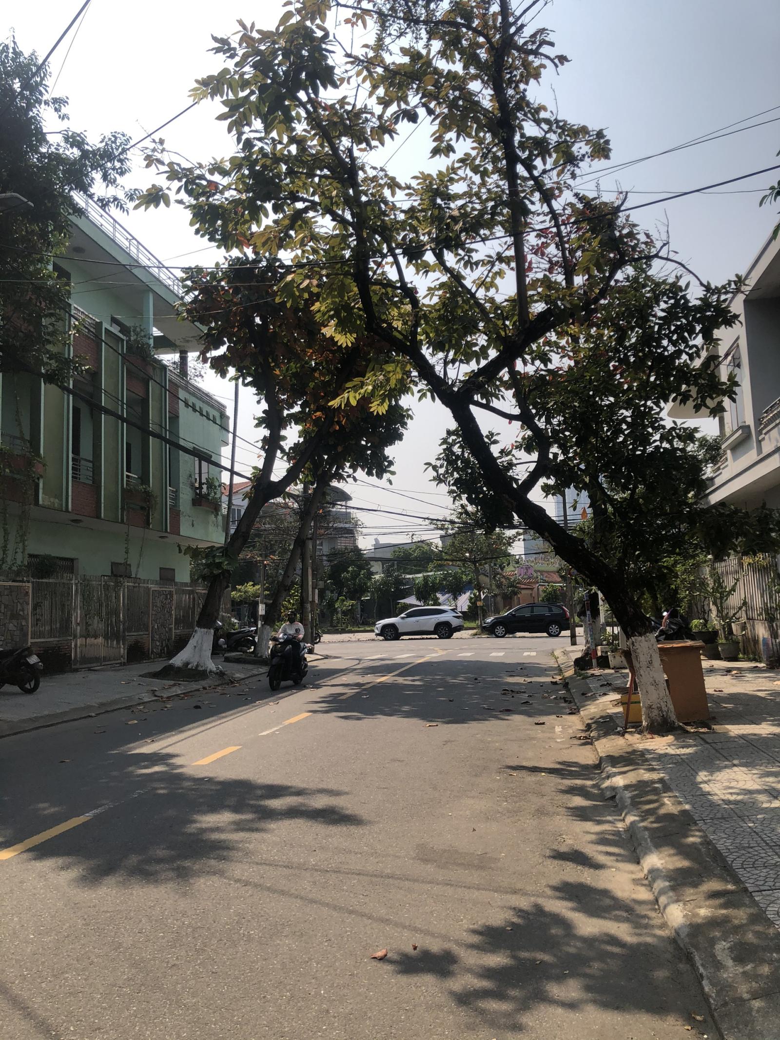 sốc đất mặt tiền đường Nguyễn Cư Trinh đường 7m5 Q.Hải Châu giá chỉ 4.8 tỷ