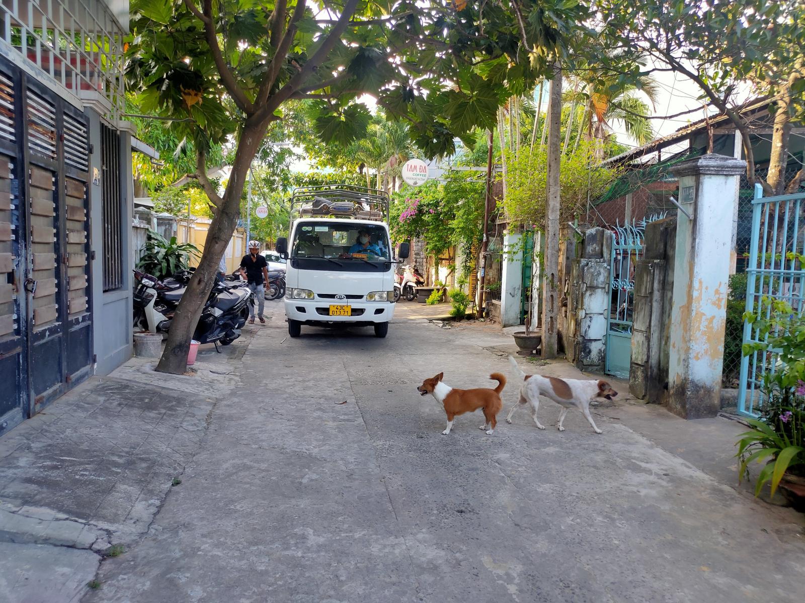 SỤP_Cần bán lô đất 115m2 Đường K/ Nguyễn Văn Thoại,Mỹ An,Ngũ Hành Sơn,Đà Nẵng_4,4 Tỉ