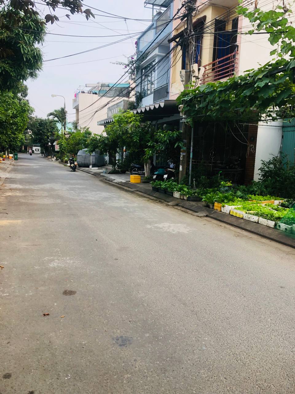 💎Cần bán nhà MT đường Hoà Minh 1,P Hoà Minh,Quận Liên Chiểu.Đà Nẵng