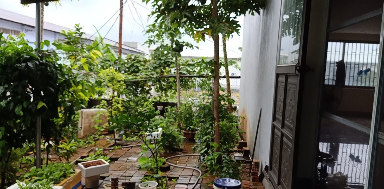 Bán nhà mặt tiền Đường Ngô Quyền, Phường Thọ Quang, Sơn Trà, Đà Nẵng diện tích 95m2  giá 6.5 Tỷ