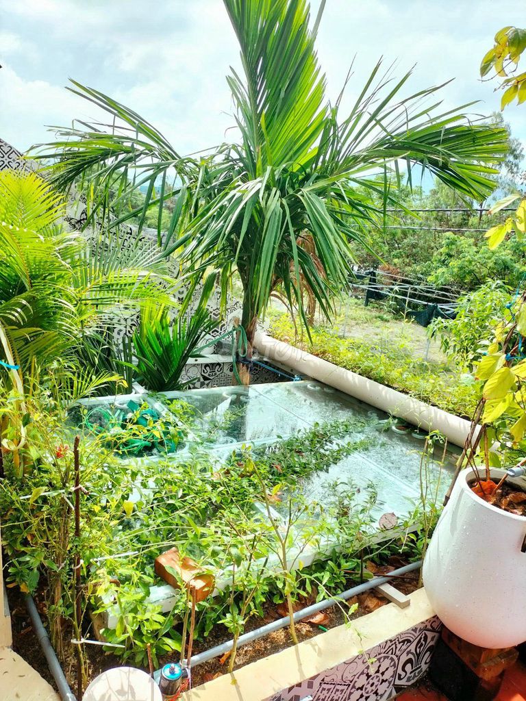 Bán nhà mặt tiền Đường Võ Duy Dương, Phường Hòa Hiệp Nam, Liên Chiểu, Đà Nẵng diện tích 125m2  giá 5.35 Tỷ