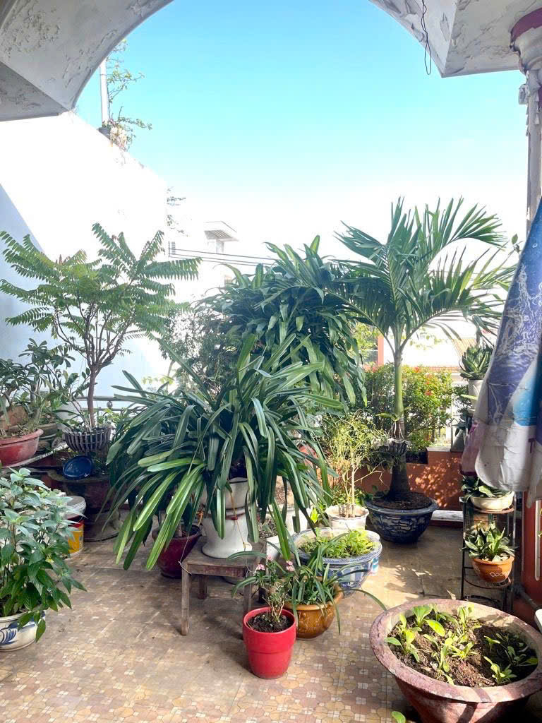 MẶT TIỀN LÊ HỮU TRÁC GIÁ TỐT NHẤT KHU VỰC