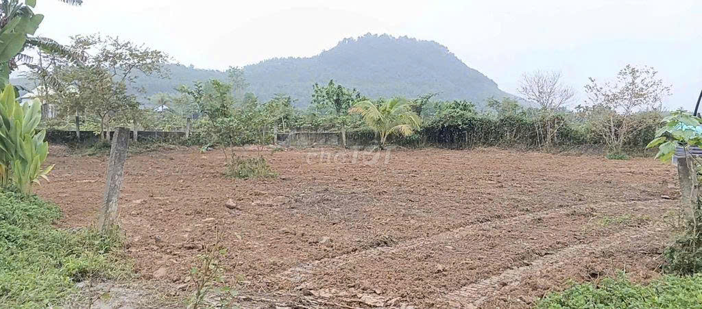 Đất làm vườn nghĩ dưỡng view sông sát đường đi Núi Thần Tài 3800m2 chỉ 5.3 tỷ. Lh:0913913077.