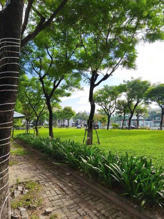 Giảm 300 triệu - Bán Gấp nhà 3 Tầng - 2 Mặt tiền - Gần Công Viên - Khuê Trung Cẩm Lệ - Giá chỉnh nhỉnh 8 tỷ..