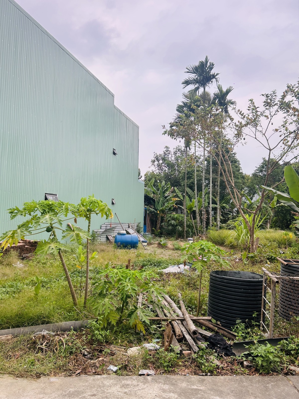 🌟 ĐẤT ĐẸP 100m² – Ô TÔ ĐỖ CỬA – GIÁ CHỈ 2,39 TỶ 🌟